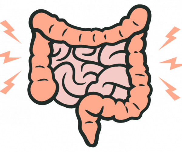 Darmbeschwerden Webinar